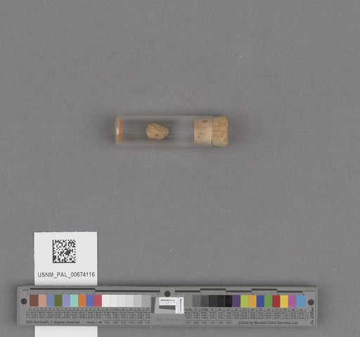 NSF ADBC EPICC TCN