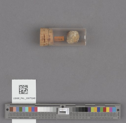 NSF ADBC EPICC TCN