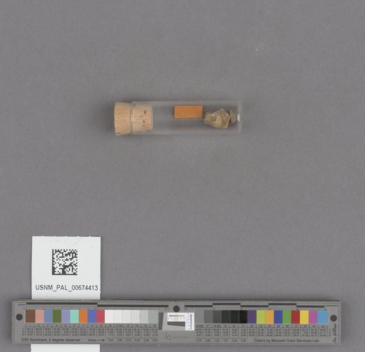 NSF ADBC EPICC TCN