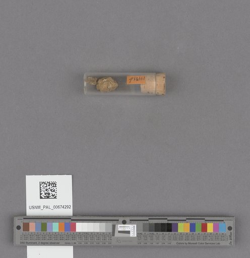 NSF ADBC EPICC TCN