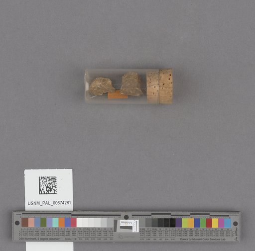 NSF ADBC EPICC TCN