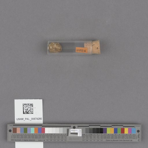 NSF ADBC EPICC TCN