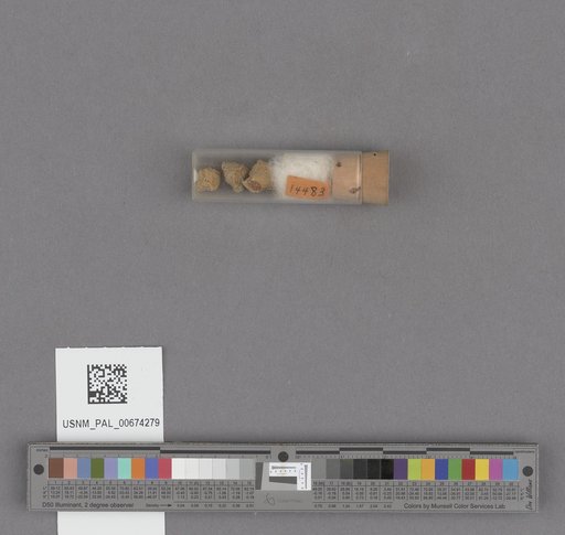 NSF ADBC EPICC TCN