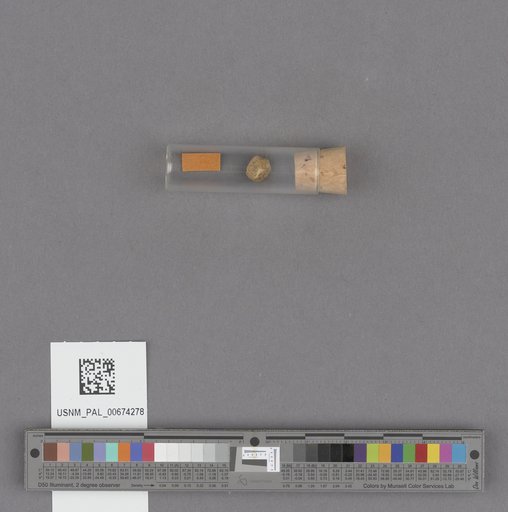 NSF ADBC EPICC TCN