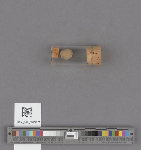 NSF ADBC EPICC TCN