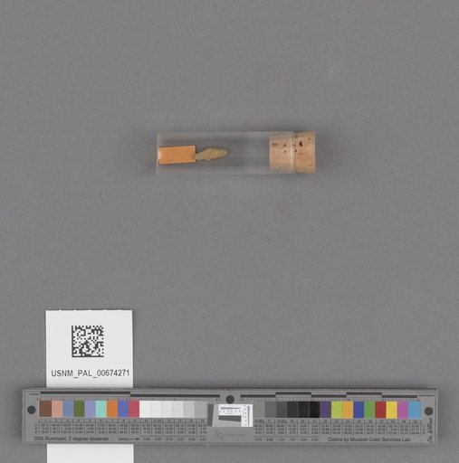 NSF ADBC EPICC TCN