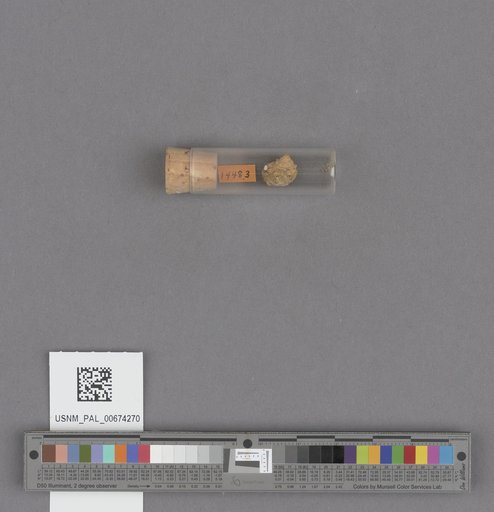NSF ADBC EPICC TCN