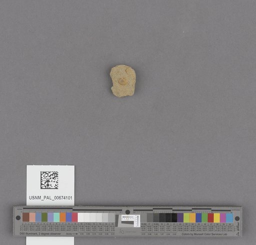 NSF ADBC EPICC TCN