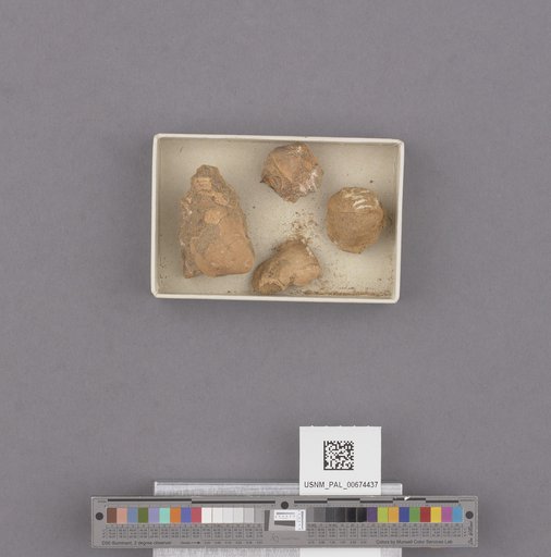 NSF ADBC EPICC TCN