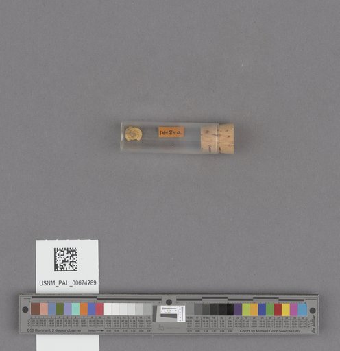 NSF ADBC EPICC TCN