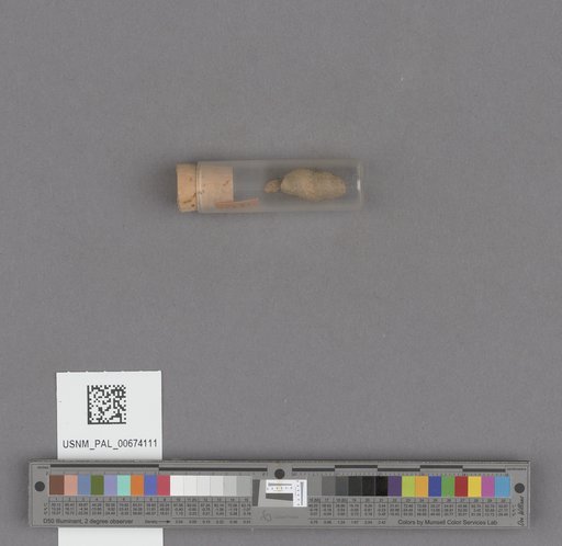 NSF ADBC EPICC TCN
