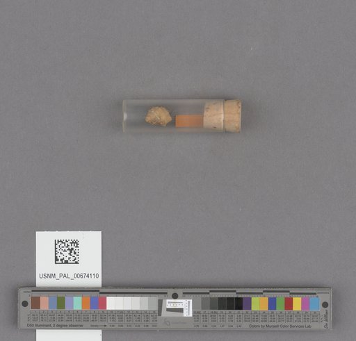 NSF ADBC EPICC TCN