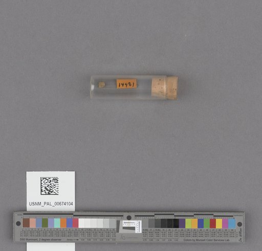 NSF ADBC EPICC TCN