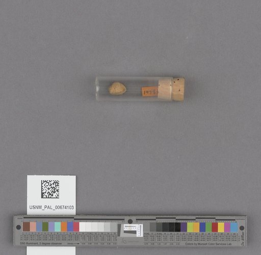NSF ADBC EPICC TCN