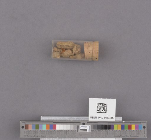NSF ADBC EPICC TCN