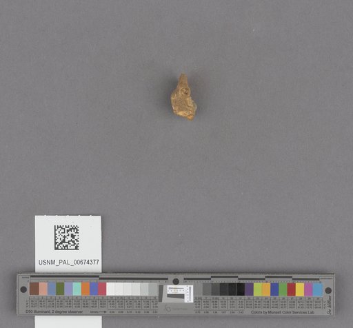 NSF ADBC EPICC TCN