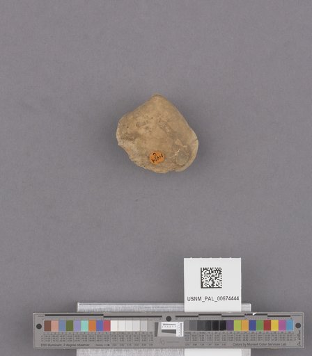 NSF ADBC EPICC TCN