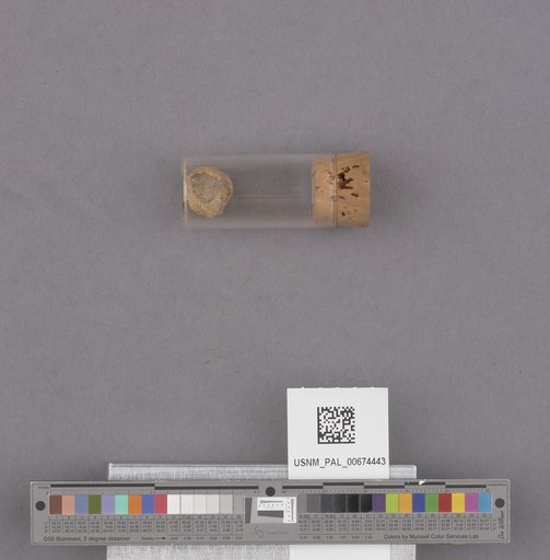 NSF ADBC EPICC TCN