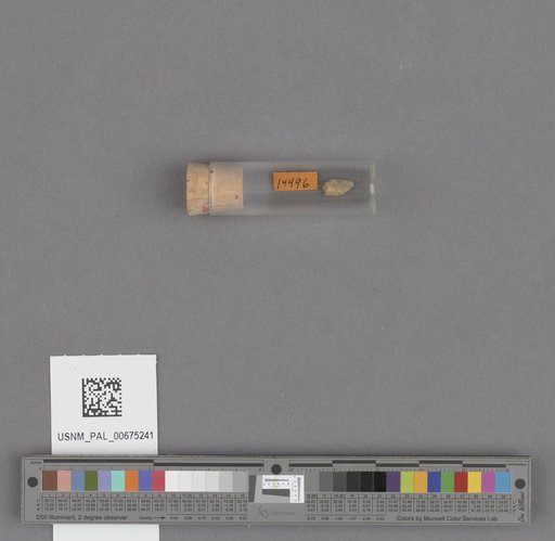 NSF ADBC EPICC TCN