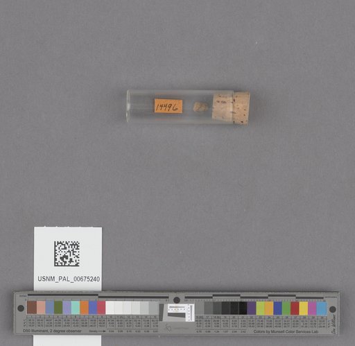 NSF ADBC EPICC TCN
