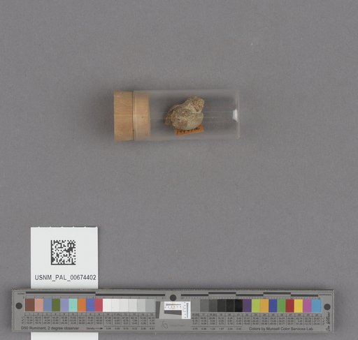 NSF ADBC EPICC TCN