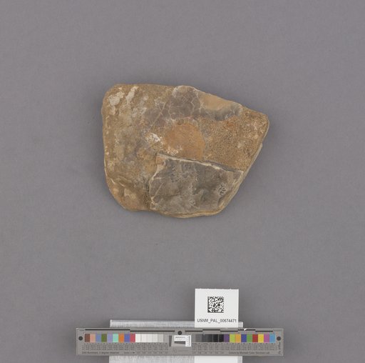 NSF ADBC EPICC TCN