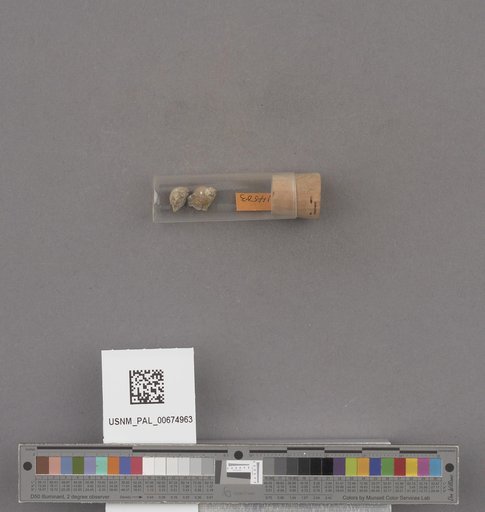 NSF ADBC EPICC TCN