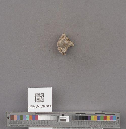 NSF ADBC EPICC TCN