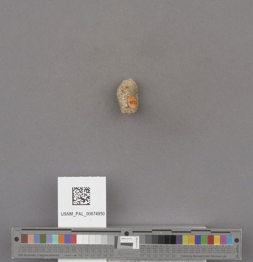 NSF ADBC EPICC TCN