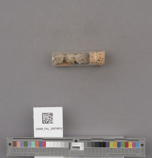 NSF ADBC EPICC TCN