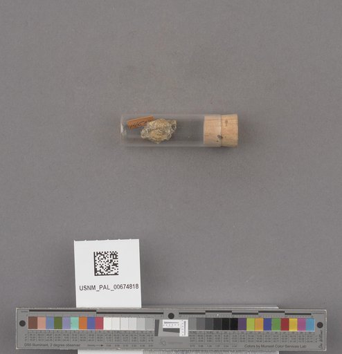 NSF ADBC EPICC TCN