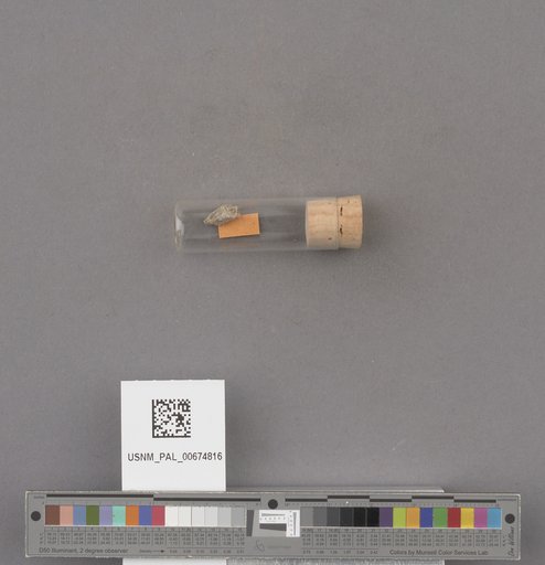 NSF ADBC EPICC TCN