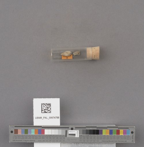 NSF ADBC EPICC TCN