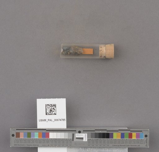 NSF ADBC EPICC TCN