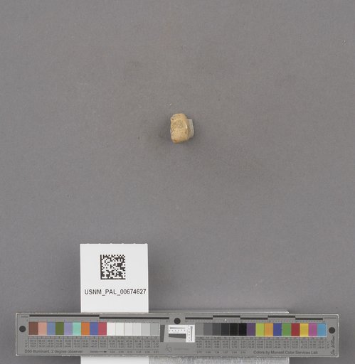 NSF ADBC EPICC TCN