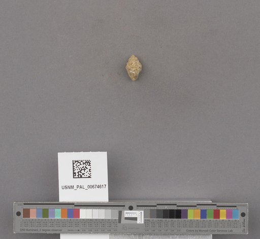NSF ADBC EPICC TCN
