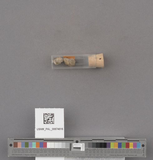 NSF ADBC EPICC TCN