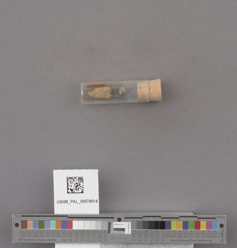 NSF ADBC EPICC TCN