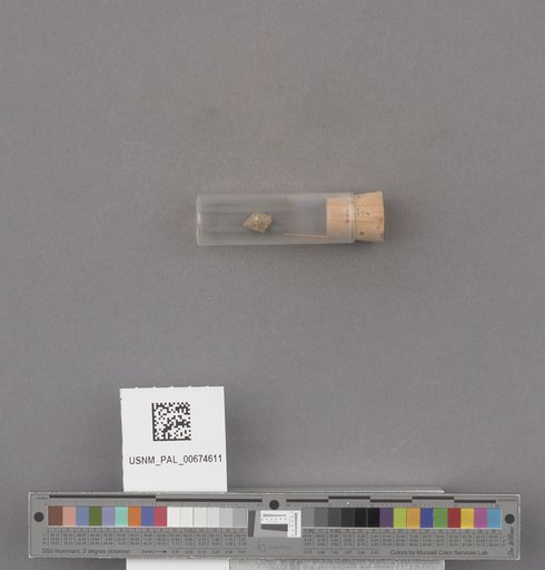 NSF ADBC EPICC TCN