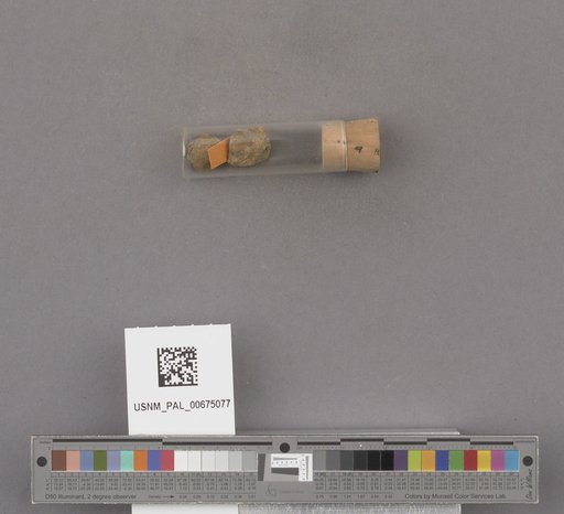 NSF ADBC EPICC TCN