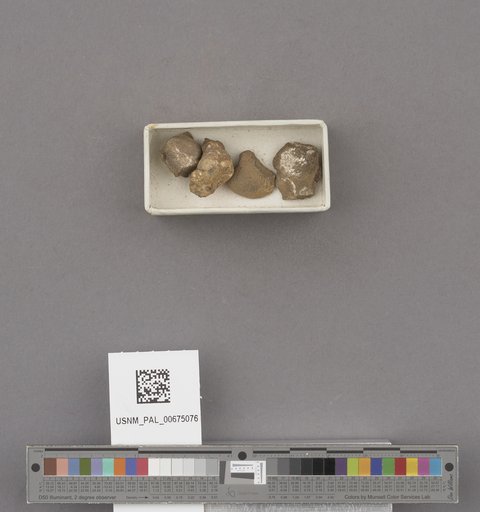 NSF ADBC EPICC TCN