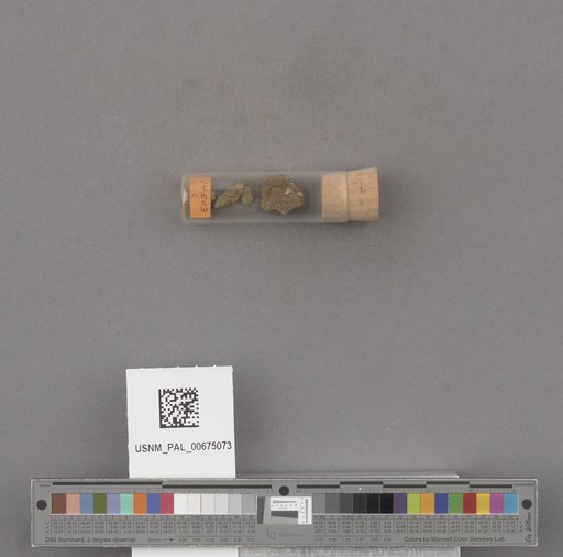 NSF ADBC EPICC TCN