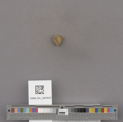 NSF ADBC EPICC TCN