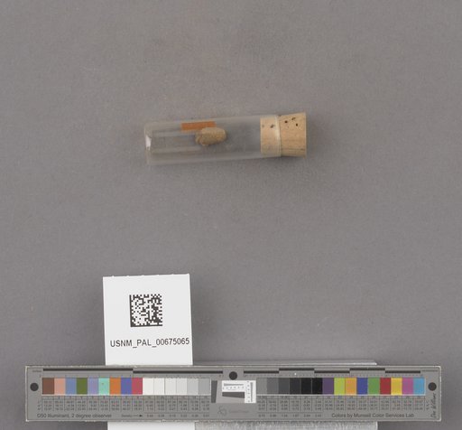 NSF ADBC EPICC TCN