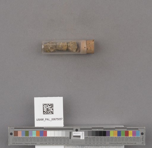 NSF ADBC EPICC TCN