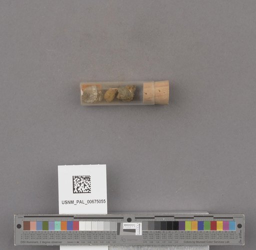 NSF ADBC EPICC TCN