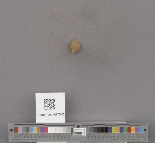 NSF ADBC EPICC TCN