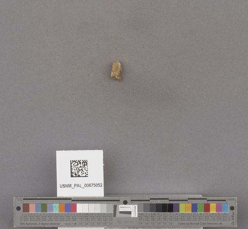 NSF ADBC EPICC TCN