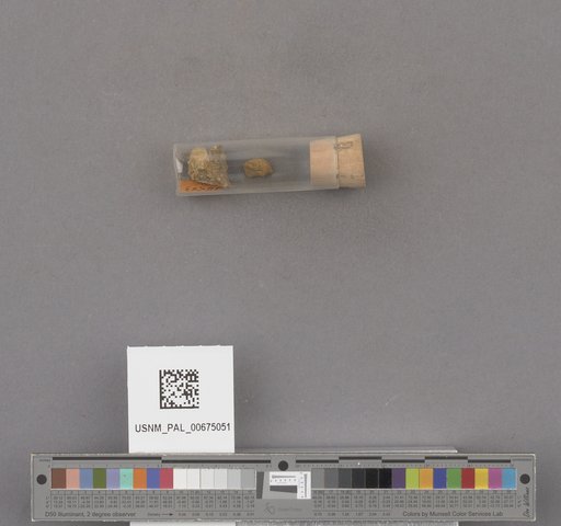 NSF ADBC EPICC TCN