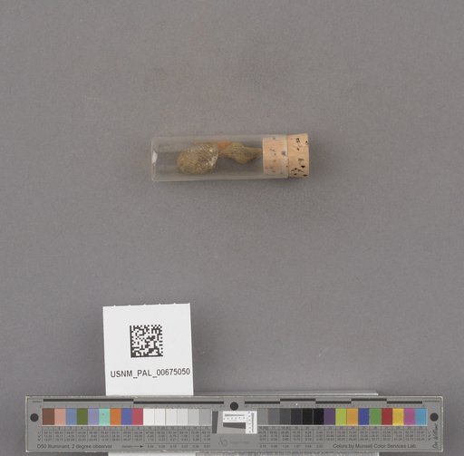 NSF ADBC EPICC TCN